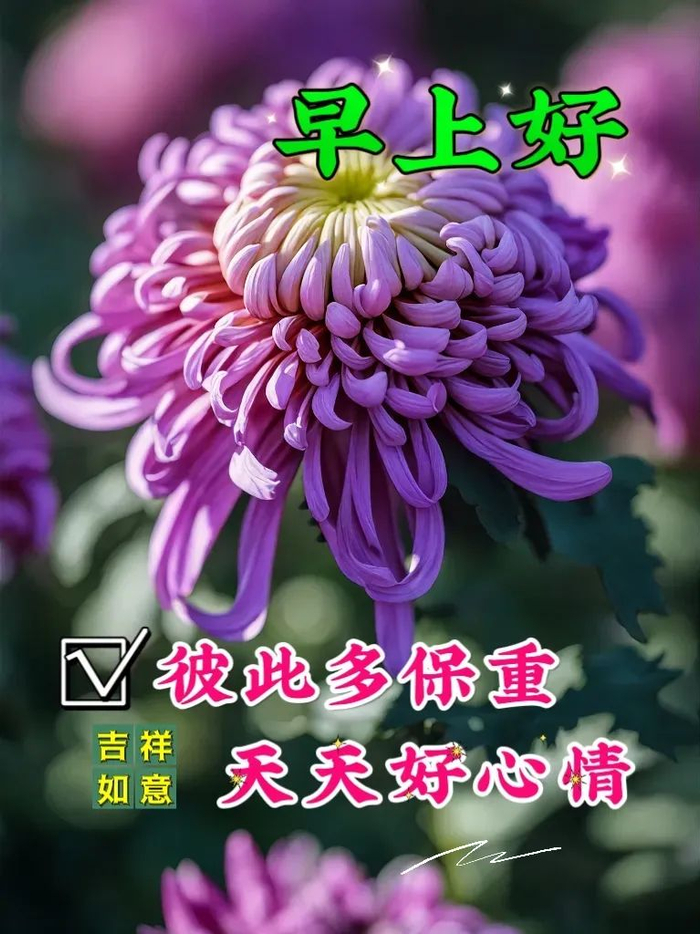 2024年3月27日最新早上好祝福语图片大全早安图片唯美温馨祝福语集锦