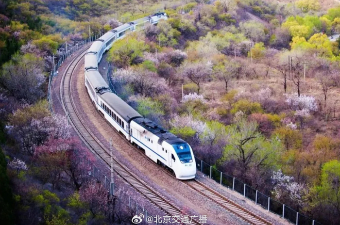 快上车北京开往春天的列车不止有s2线还有它们
