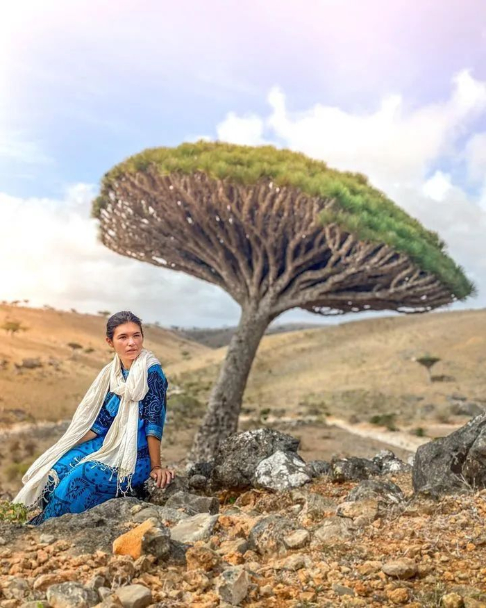 就这样,伊娃被困在了岛上.