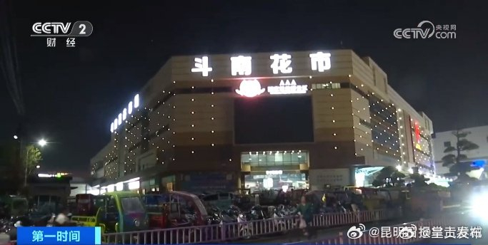 昆明斗南花市每晚近万人交易|花市|昆明|花卉_新浪新闻