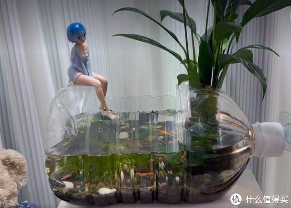 自制生态小鱼缸,摆在桌上,美了|鱼缸|矿泉水瓶|矿泉水桶_新浪新闻