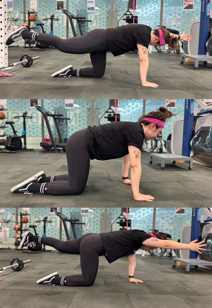 图片来自：作者