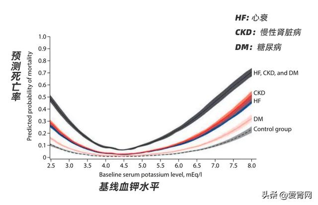 肾友吃肉居然比吃水果更易高钾最新指南这么说