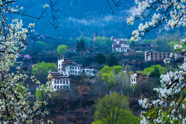 春日丹巴美如画卷 供图 丹巴县委宣传部