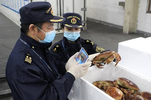 据海关统计,2024年1-2月,成都双流机场海关指定监管场地中冰鲜水产品