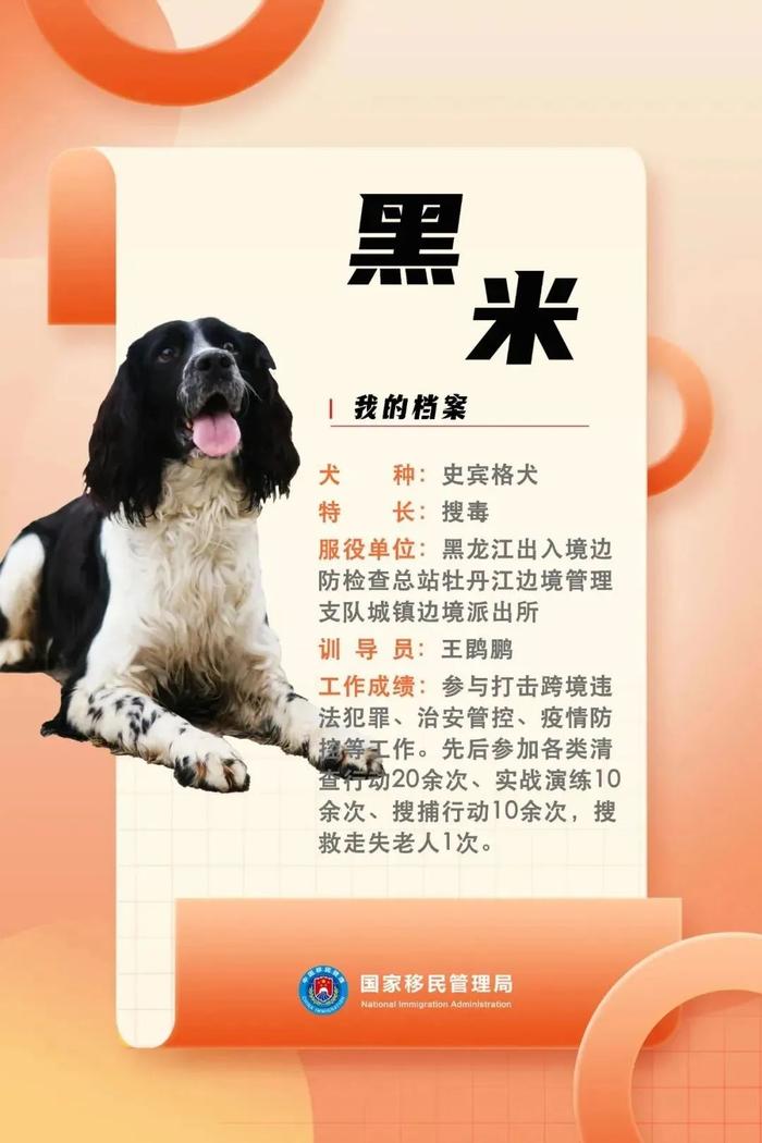 cctv警犬档案图片