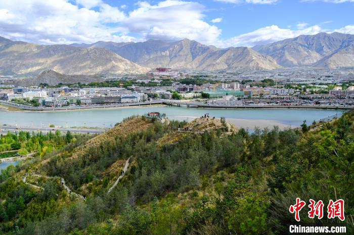 2016年至2023年 西藏年均为农牧民提供生态岗位50多万个|拉萨市|西藏