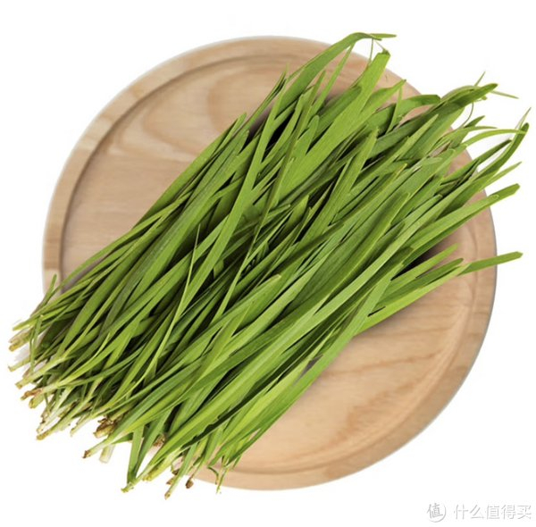 常见做法以及小结等方面进行介绍,帮助大家更好地了解和利用韭菜