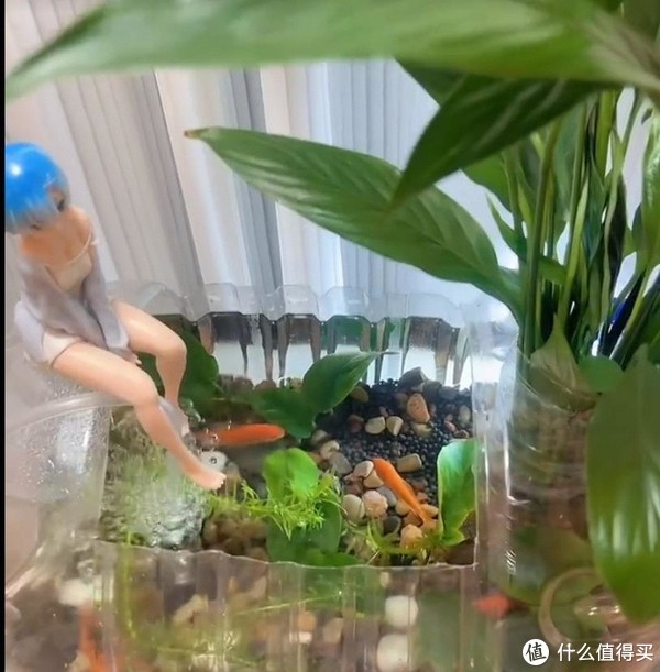 不要钱的"矿泉水桶"别扔,自制生态小鱼缸,摆在桌上,美了