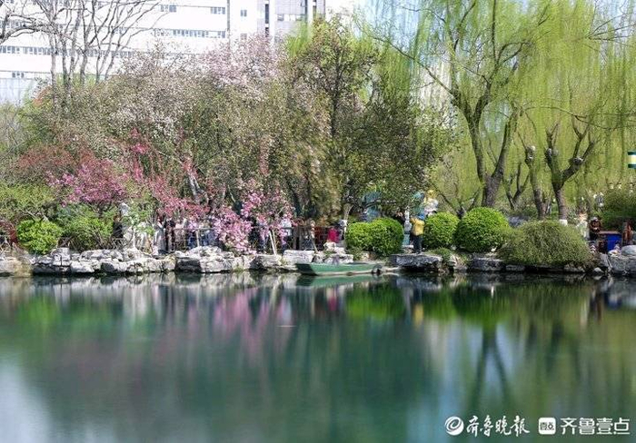 五龙潭景美海棠开