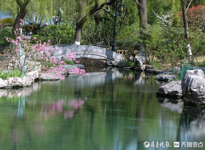 五龙潭景美海棠开