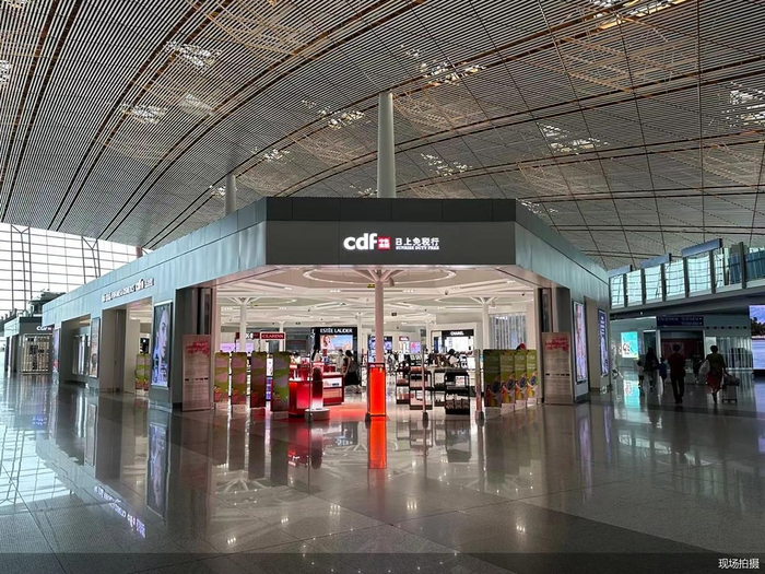 "免税茅"去年净赚67亿元 中国中免仍有烦恼|中国中免|免税店|海南离岛