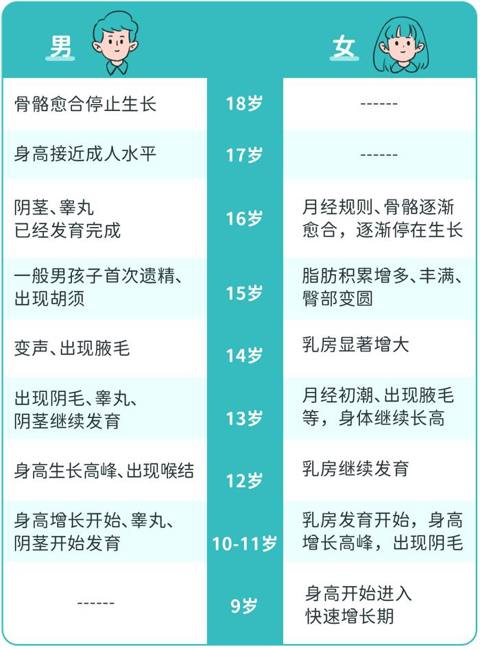 12岁儿童睾丸发育标准图片