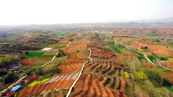 河南西峡:千万工程绘就乡村振兴新画卷