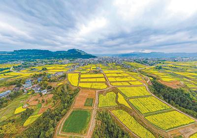 和美乡村 生态宜居