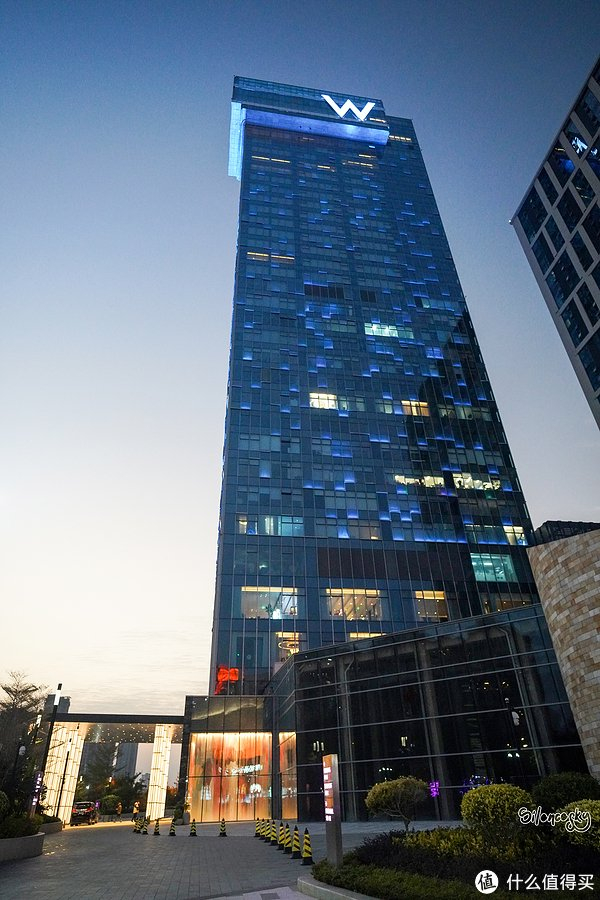 当白鹭束起了脏辫 - 厦门w酒店奇幻套房入住体验|万豪|厦门|白鹭_新浪