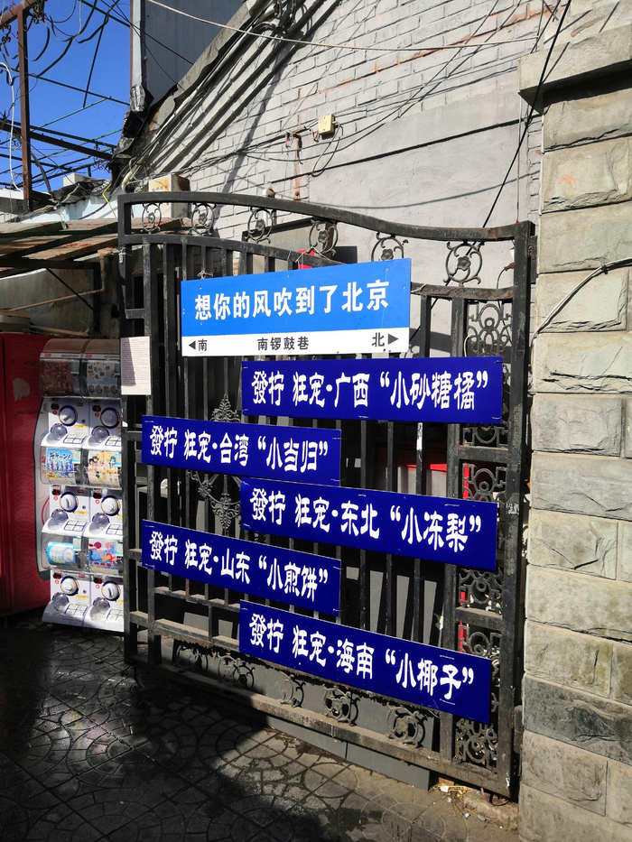 从巷子南口一路向北,店铺前,人群中,不断闪现网红路牌的身影.