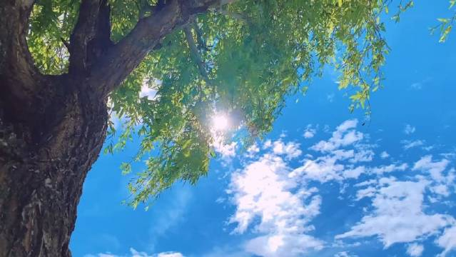 晨光微熹,新的一天悄然来临