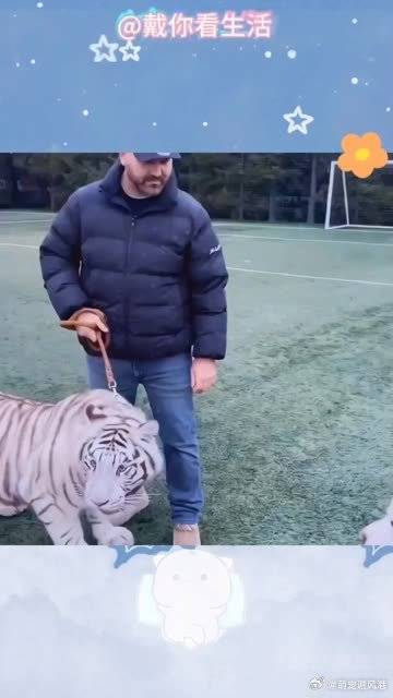 动物饲养员意外发现狗狗怀孕没想到狗宝宝让人大吃一惊