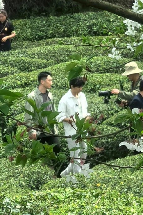 王俊凯|路透_新浪新闻