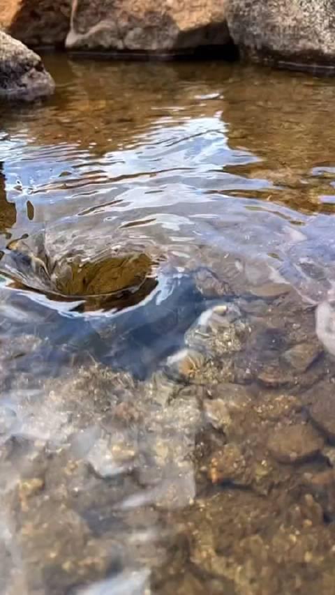 水下漩涡 所有可以分享的有趣的事 第一个想到的都是你