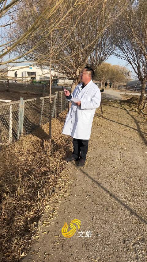 生态援疆用上黑科技