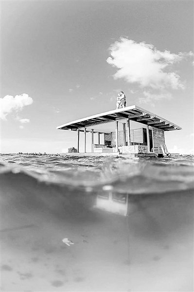 对面的桑给巴尔岛|桑给巴尔岛|桑岛|桑给巴尔_新浪新闻