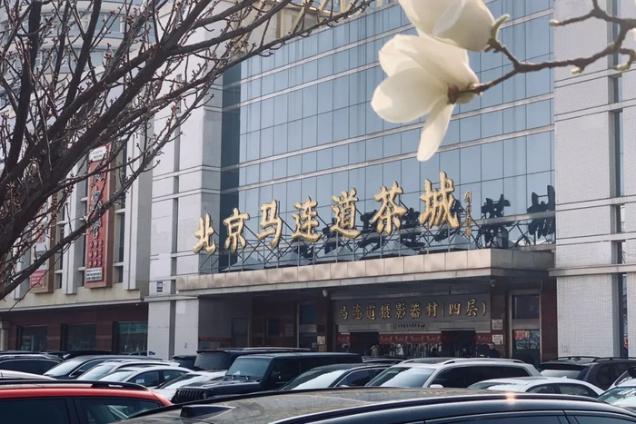 "楼上淘相机,楼下喝大茶",很难再有马连道茶城这样神奇的地儿了.