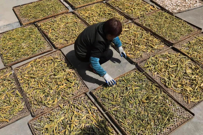 浙江宣传丨食笋莫踟蹰