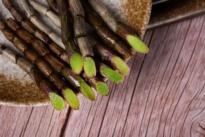 铁皮石斛鲜条,每天鲜榨一杯,滋阴清热,益胃生津|铁皮石斛|石斛|养生