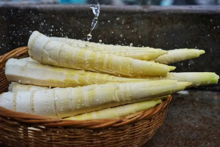 浙江宣传丨食笋莫踟蹰