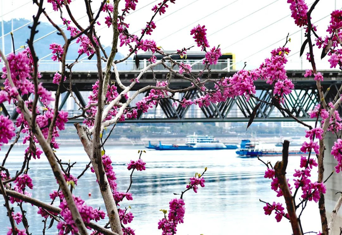 最新天气预报,来了!|气温|多云|气象台_新浪新闻