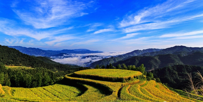 于都县长征渡口全南县天龙山会昌县汉仙岩安远县三百山兴国县苏区干部