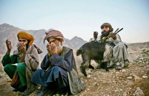 巴基斯坦|南亚|阿富汗_新浪新闻