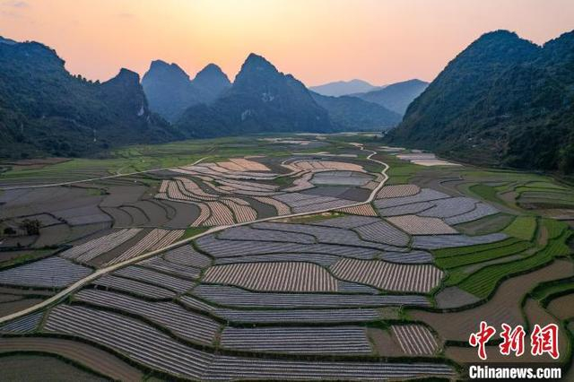 广西德保县进行春耕生产"大比武"|春耕|德保县|大比武_新浪新闻