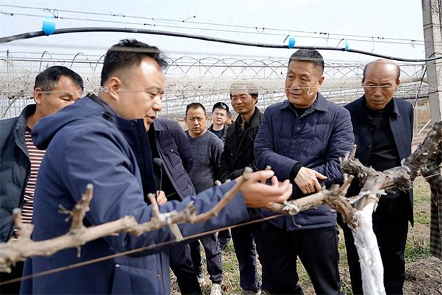 西咸新区:培育高素质"新农人" 为乡村振兴添智赋能
