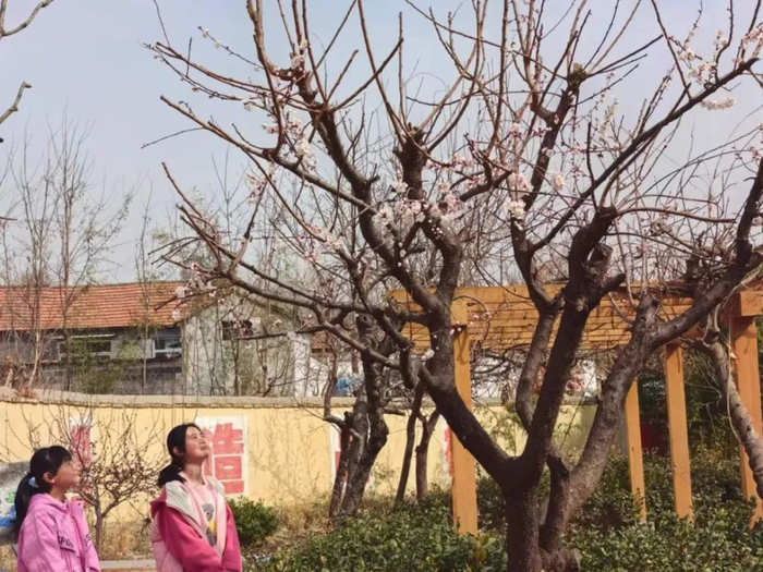 昌邑市实验中学▲高密市第五中学▲青州市宏德小学▲青州市北关初级