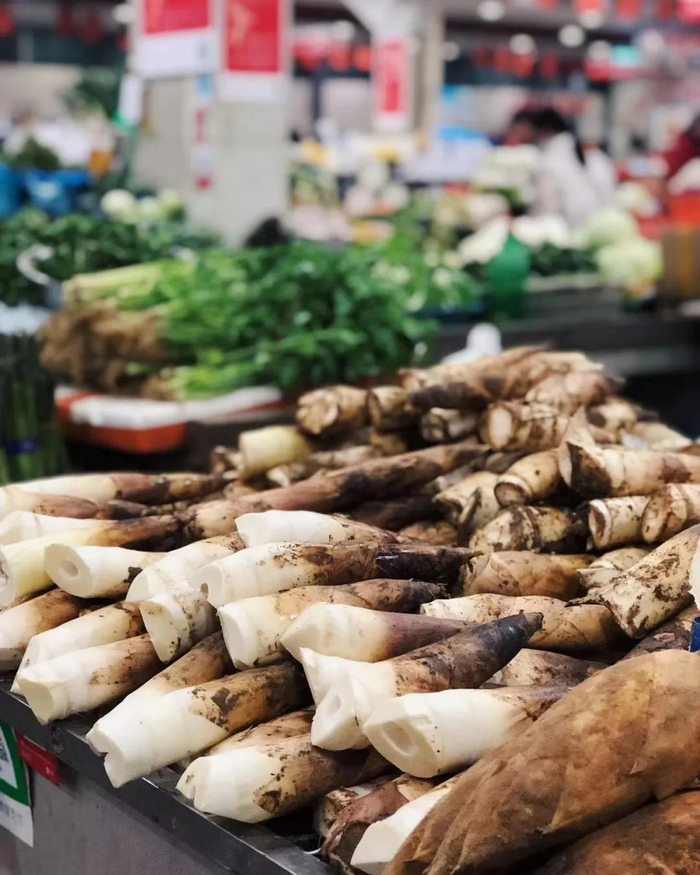 浙江宣传丨食笋莫踟蹰