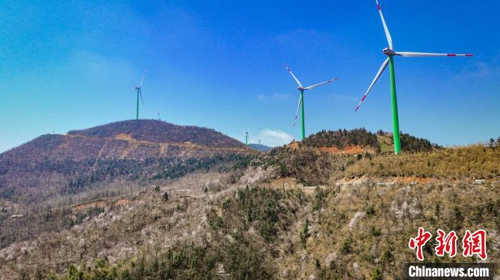 吴淘淘 摄3月28日,在湖北咸宁市咸安区大幕山上,1.