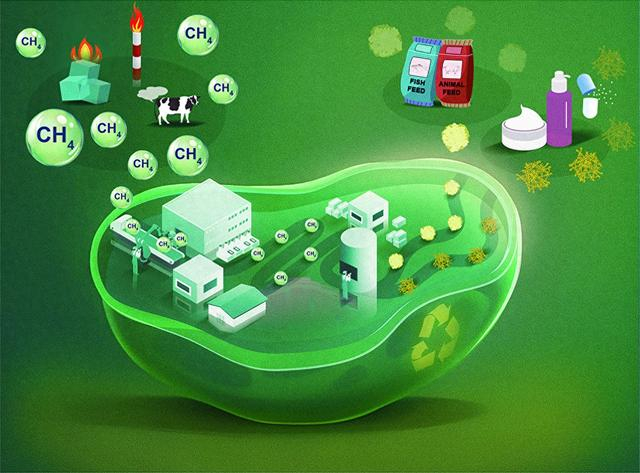 西安交大在生物利用甲烷创制大分子产品研究上取得重要进展