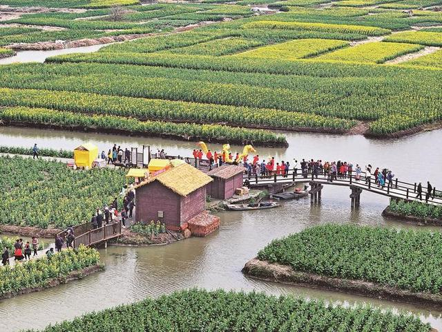 中国·兴化千垛菜花旅游季盛大开幕