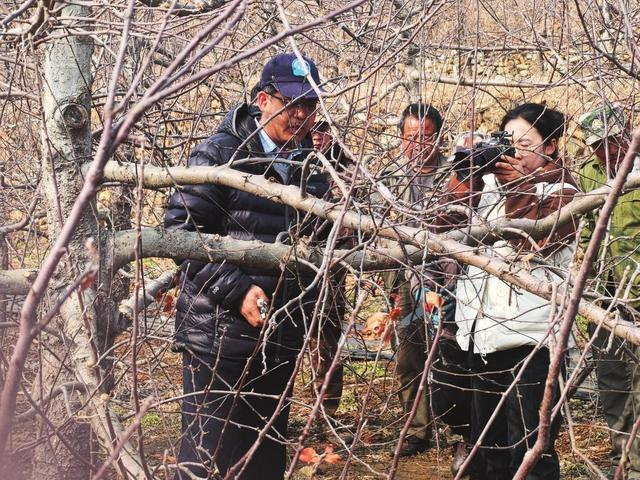 博士下乡到果园授课__财经头条