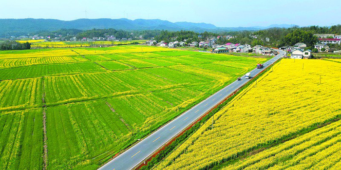 泥江口镇 一条小众路线带火乡村游|陈列馆|江口镇|钵子_新浪新闻