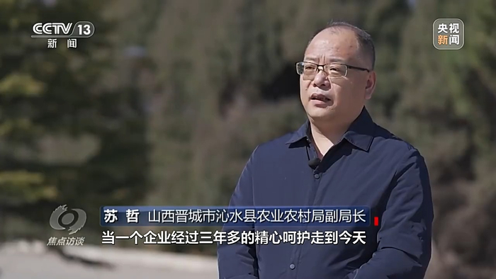 焦点访谈丨大山里也产"海鲜" 看小地方如何干出大名堂|山西省|三文鱼