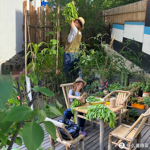 黄雅莉一家三口,蜗居客厅仅10㎡的小破宅,网友:简直不敢相信|黄雅莉|