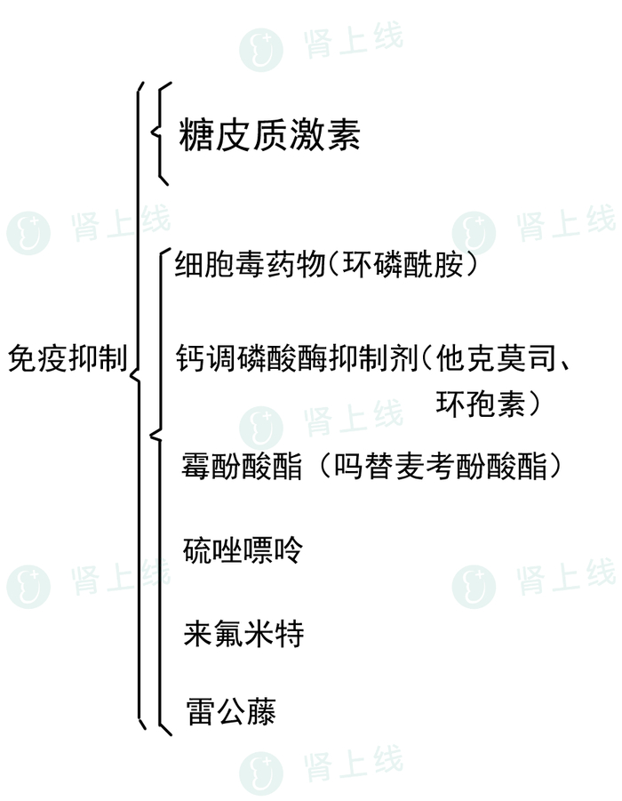 肾病|肾衰竭|普利_新浪新闻