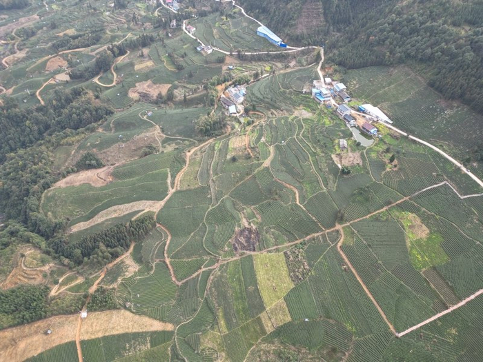 23亿元|茶叶|三都县|茶业_新浪新闻