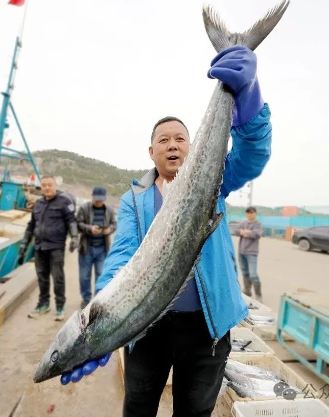 是时候展示你真正的实力啦→|鲅鱼|沙子|礼俗_新浪新闻