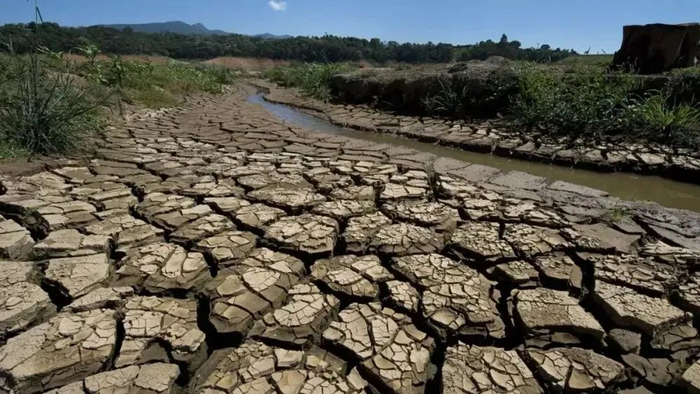 给中亚的10条建议|中亚|中亚国家|阿富汗_新浪新闻