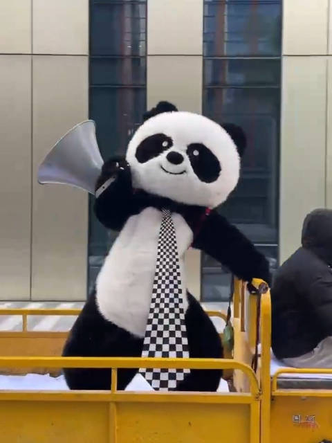 大家好今天熊猫君我要出门打工喽晚上1900的骆玉明老师古诗词课